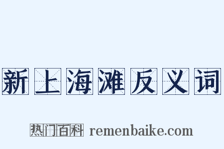 新上海滩反义词是什么意思的图片